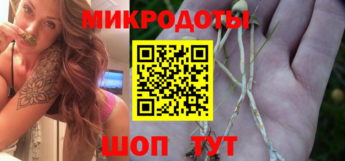 Галлюциногенные грибы Psilocybe  Вход с VPN  Вятские Поляны 