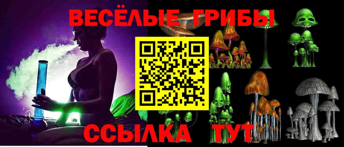 Псилоцибиновые грибы Cubensis Вятские Поляны