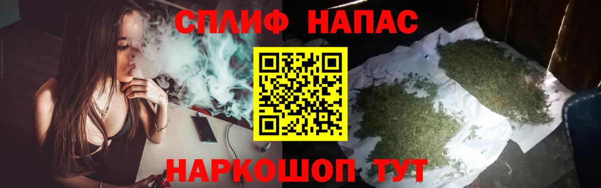  COCAIN Вятские Поляны